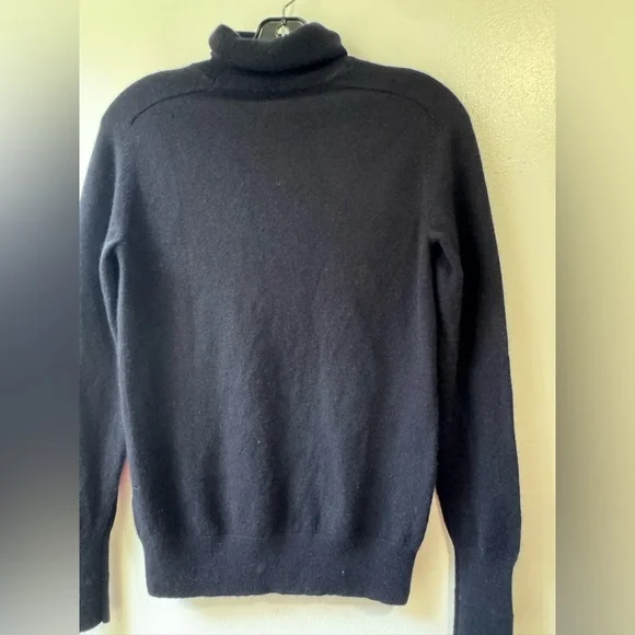 Everlane Cashmere Blue Turtleneck Sweater